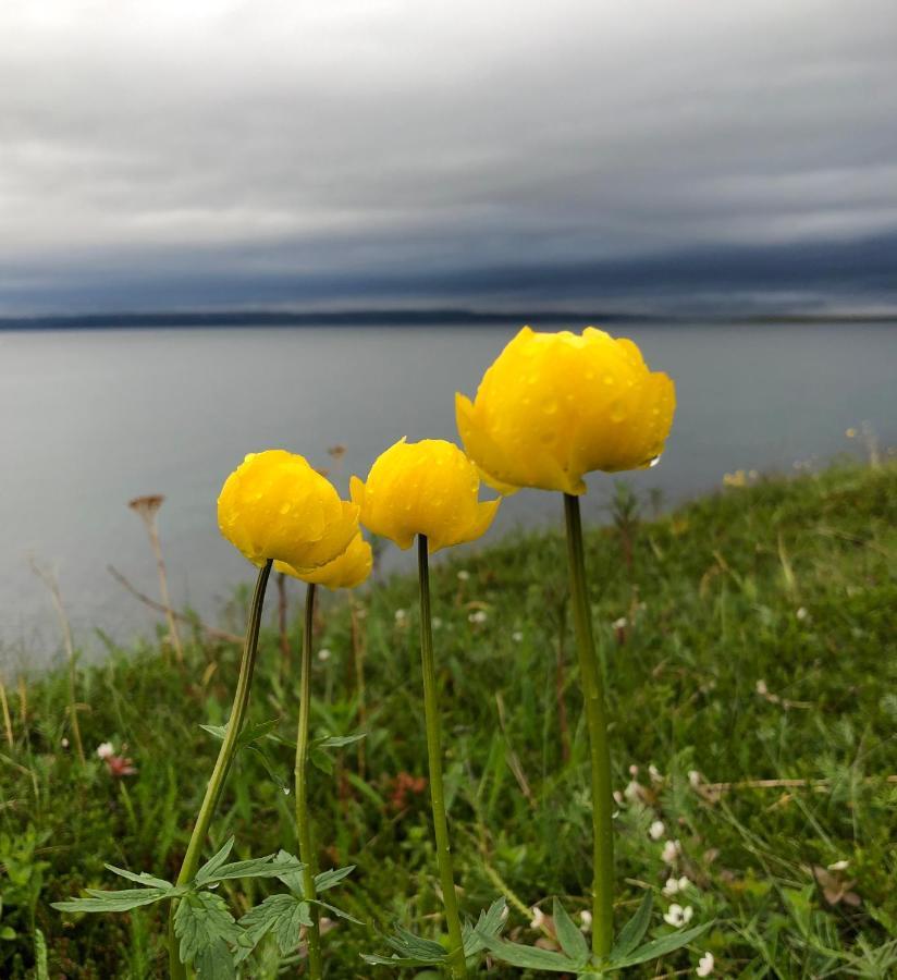 Ekkeroy Feriehus Villa Vadsø Exterior foto